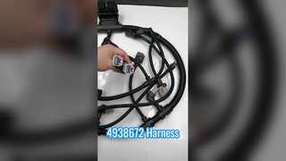 4938672 Ремень