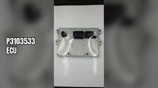 P3103533 ЭБУ