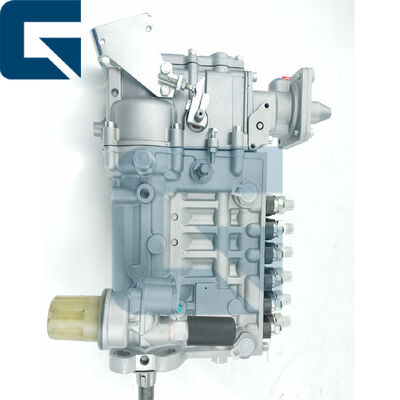 0423-4301 04234301 Diesel Fuel Injection Pump for BF6L914 Engine